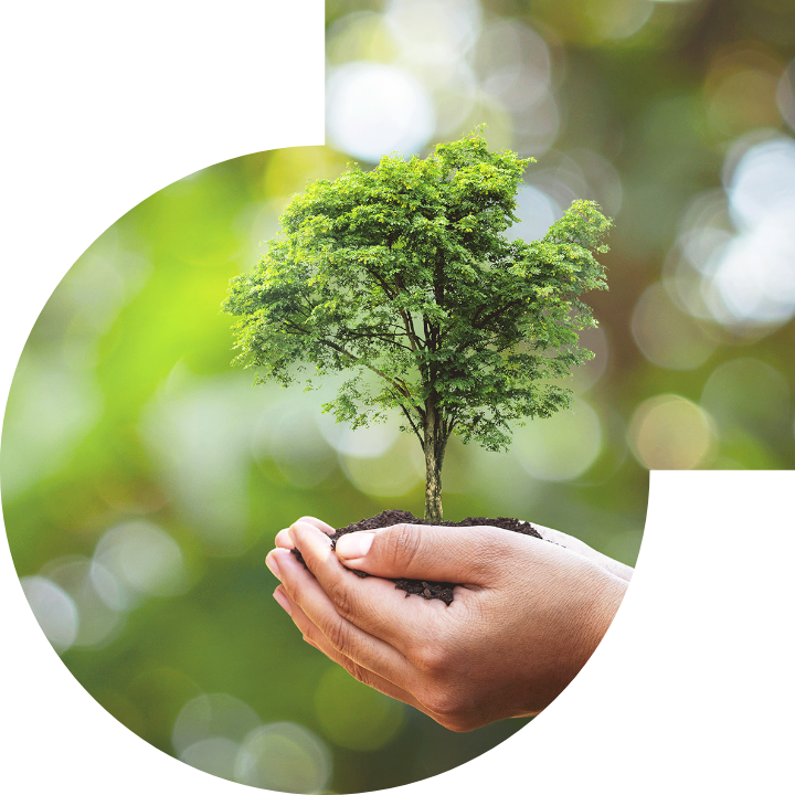 關懷人類、文化、環境與社會